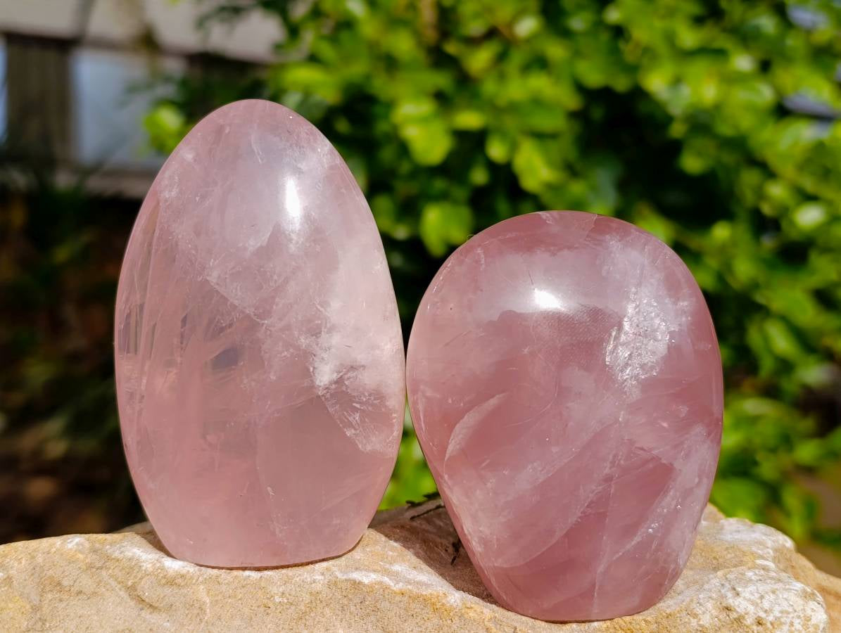 Polished Rose Quartz Standing Free Forms x 3 Madagascar - Toprock Gemstones and Minerals 