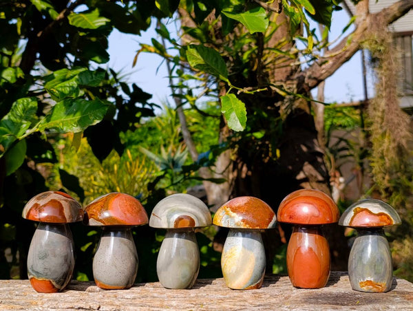 Polished Polychrome Jasper Mushrooms x 6 From Madagascar