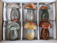 Polished Polychrome Jasper Mushrooms x 6 From Madagascar