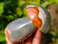 Polished Polychrome Jasper Mushrooms x 6 From Madagascar