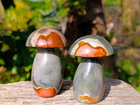 Polished Polychrome Jasper Mushrooms x 6 From Madagascar