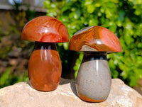 Polished Polychrome Jasper Mushrooms x 6 From Madagascar