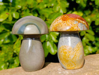 Polished Polychrome Jasper Mushrooms x 6 From Madagascar