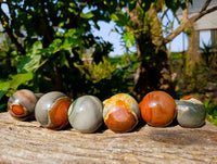 Polished Polychrome Jasper Mushrooms x 6 From Madagascar