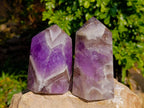 Polished Chevron Amethyst Points x 2 from Ankazobe, Madagascar - Toprock Gemstones and Minerals 