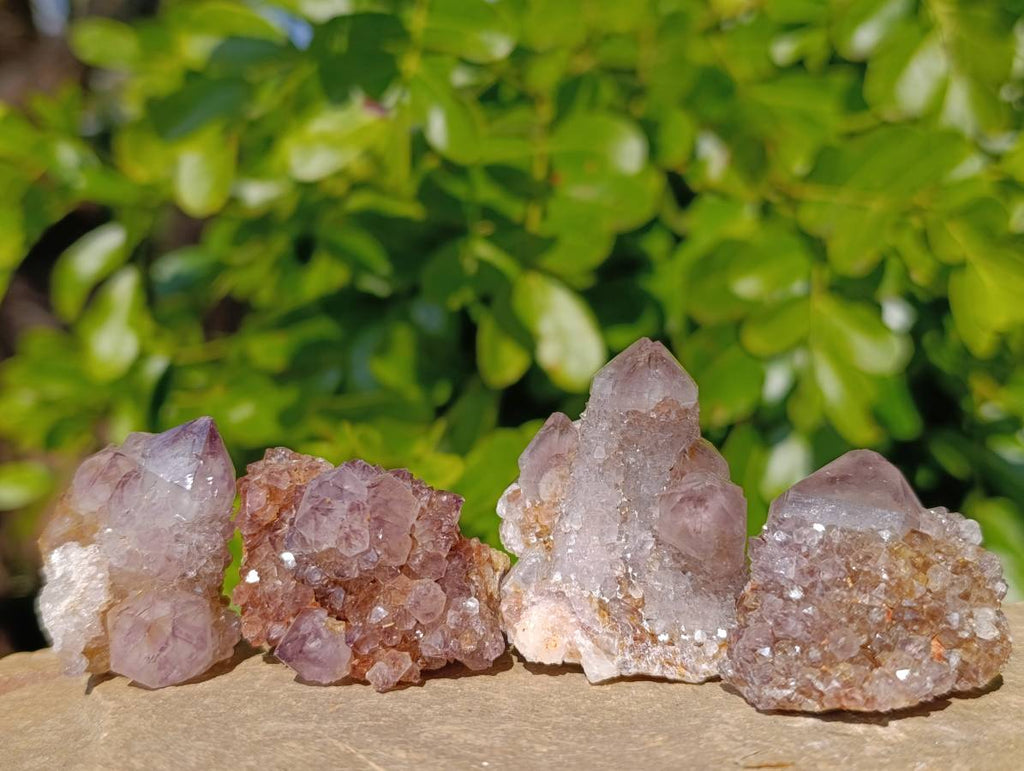 Natural Spirit Quartz Clusters x 20 From Boekenhouthoek, South Africa - Toprock Gemstones and Minerals 