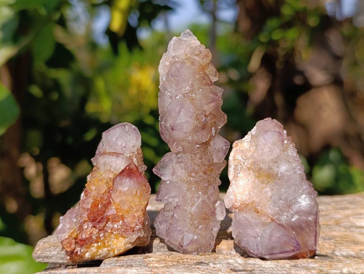 Natural Spirit Quartz Clusters x 20 From Boekenhouthoek, South Africa - Toprock Gemstones and Minerals 