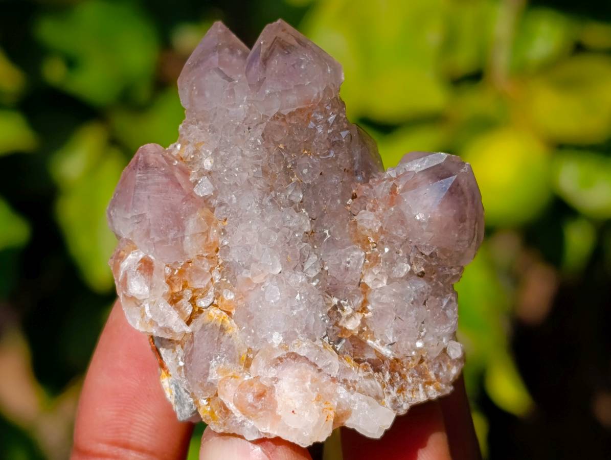 Natural Spirit Quartz Clusters x 20 From Boekenhouthoek, South Africa - Toprock Gemstones and Minerals 
