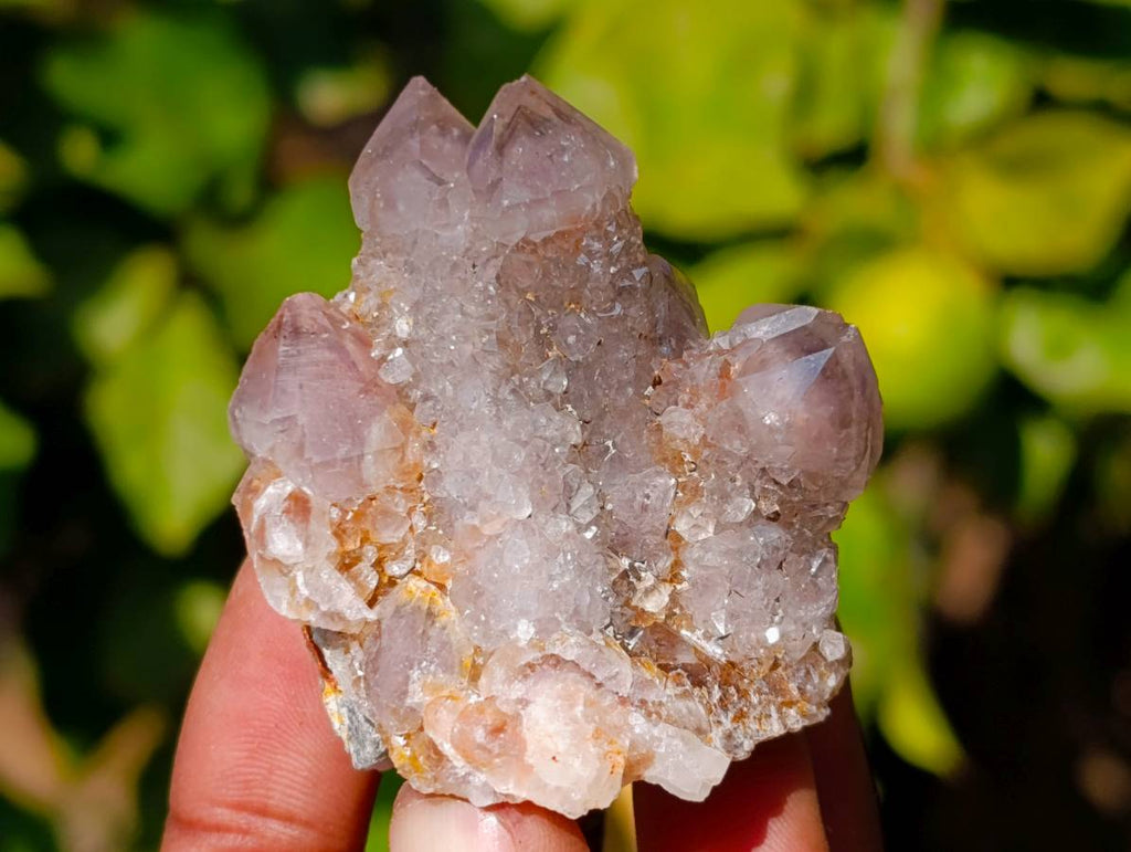 Natural Spirit Quartz Clusters x 20 From Boekenhouthoek, South Africa - Toprock Gemstones and Minerals 