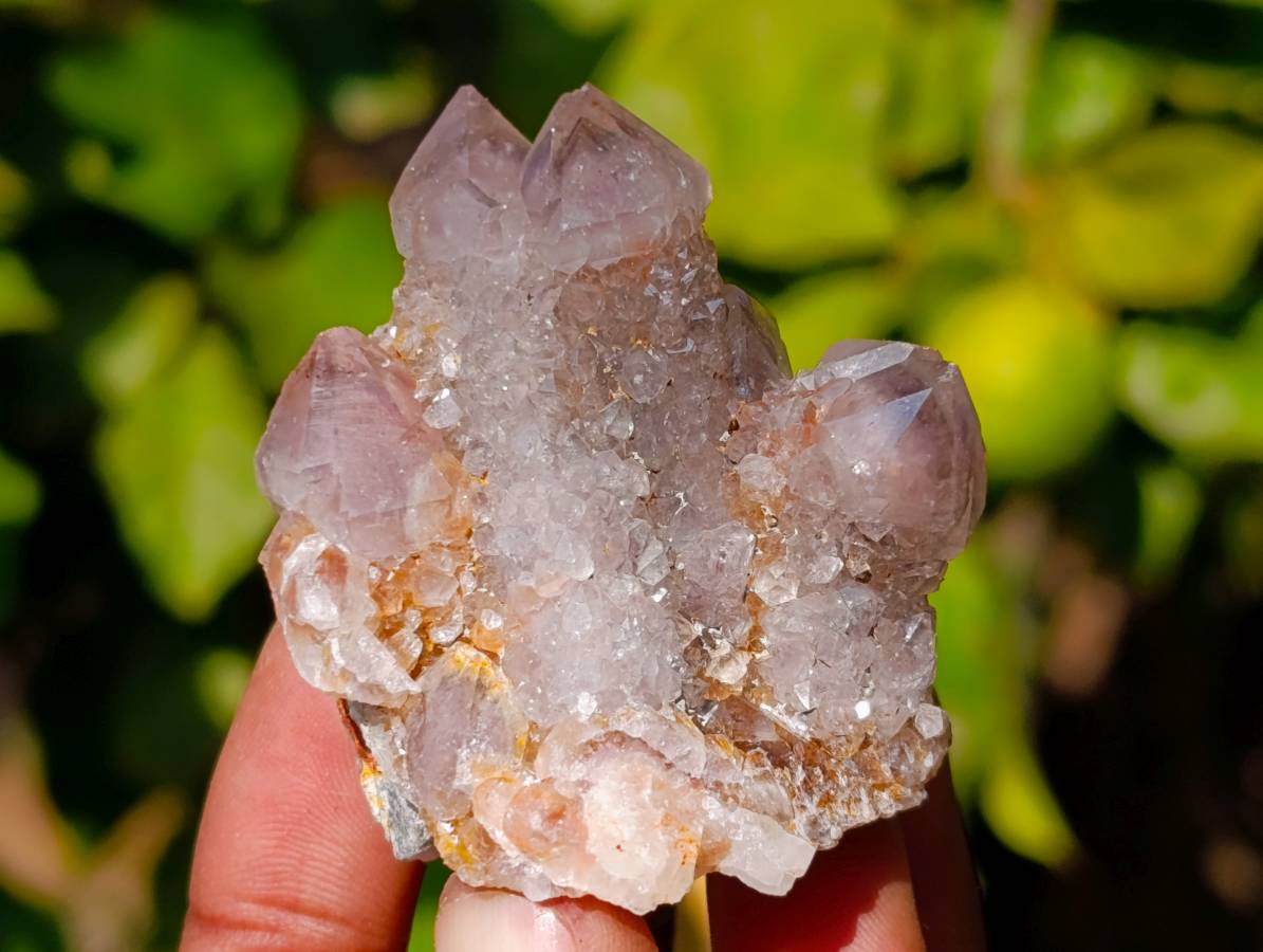 Natural Spirit Quartz Clusters x 20 From Boekenhouthoek, South Africa - Toprock Gemstones and Minerals 