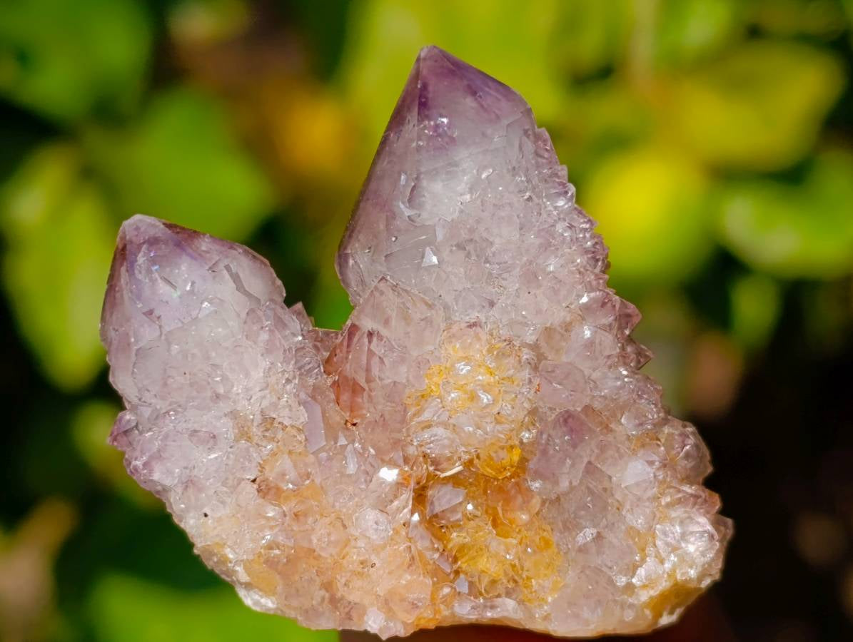 Natural Spirit Quartz Clusters x 20 From Boekenhouthoek, South Africa - Toprock Gemstones and Minerals 