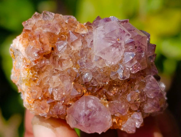 Natural Spirit Quartz Clusters x 20 From Boekenhouthoek, South Africa