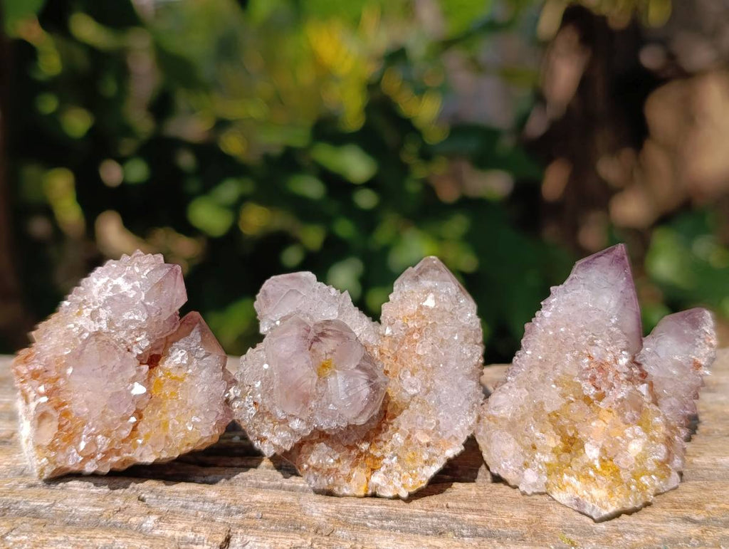 Natural Spirit Quartz Clusters x 20 From Boekenhouthoek, South Africa - Toprock Gemstones and Minerals 