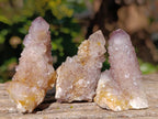Natural Spirit Quartz Clusters x 20 From Boekenhouthoek, South Africa - Toprock Gemstones and Minerals 