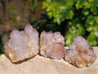 Natural Spirit Quartz Clusters x 20 From Boekenhouthoek, South Africa - Toprock Gemstones and Minerals 