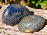 Polished Assortment Of Palm Stones x 12 From Madagascar - Toprock Gemstones and Minerals 