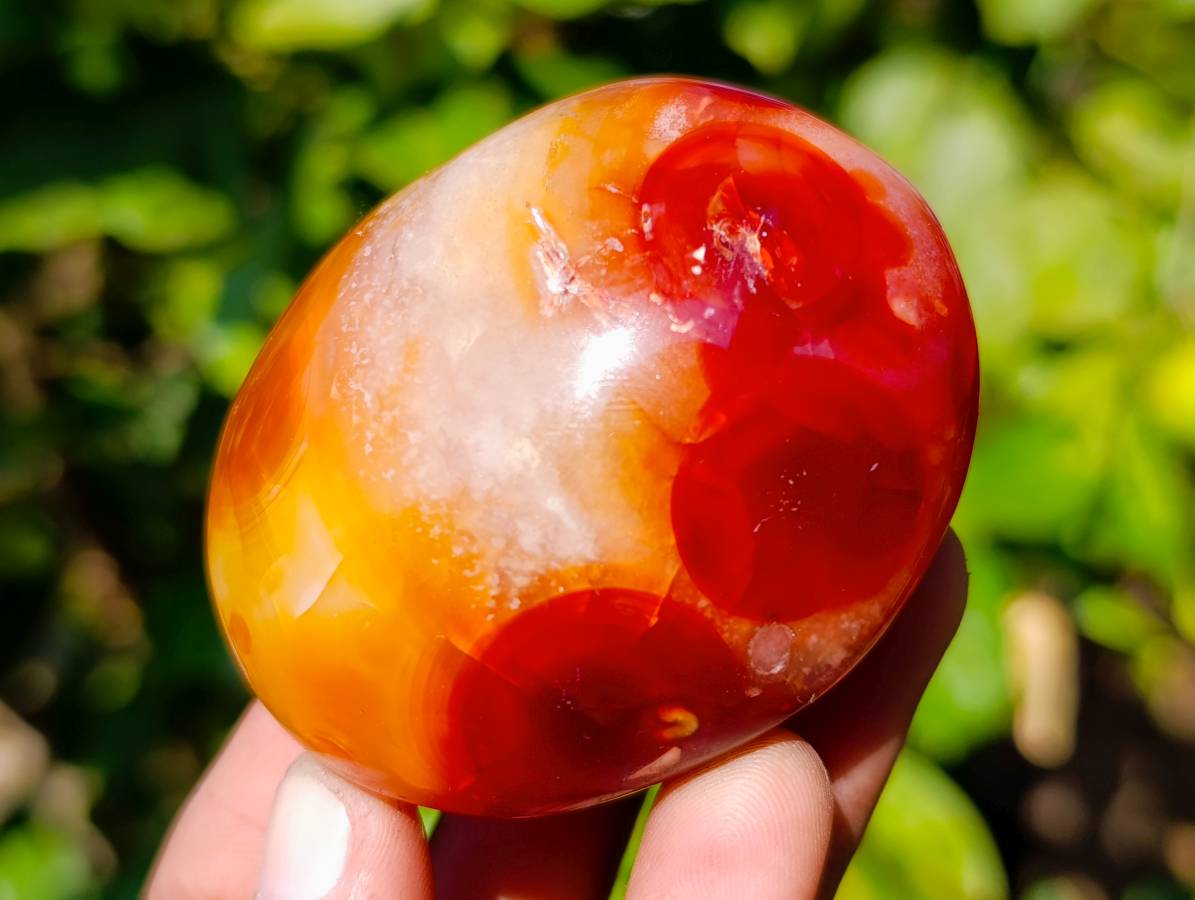 Polished Assortment Of Palm Stones x 12 From Madagascar - Toprock Gemstones and Minerals 