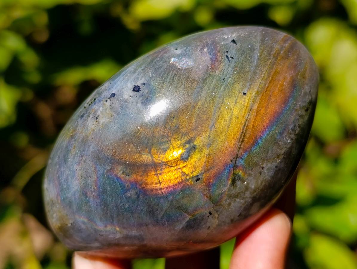 Polished Assortment Of Palm Stones x 12 From Madagascar - Toprock Gemstones and Minerals 