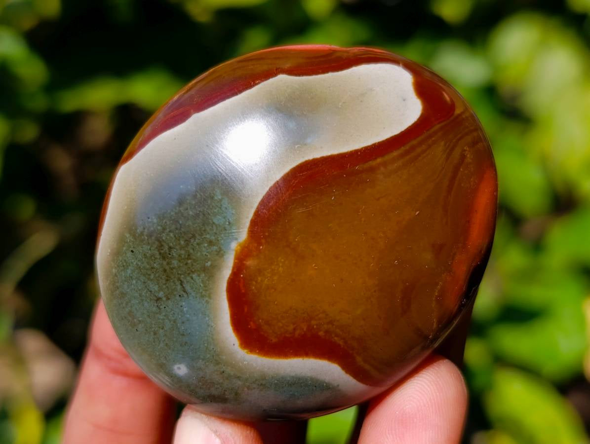 Polished Assortment Of Palm Stones x 12 From Madagascar - Toprock Gemstones and Minerals 