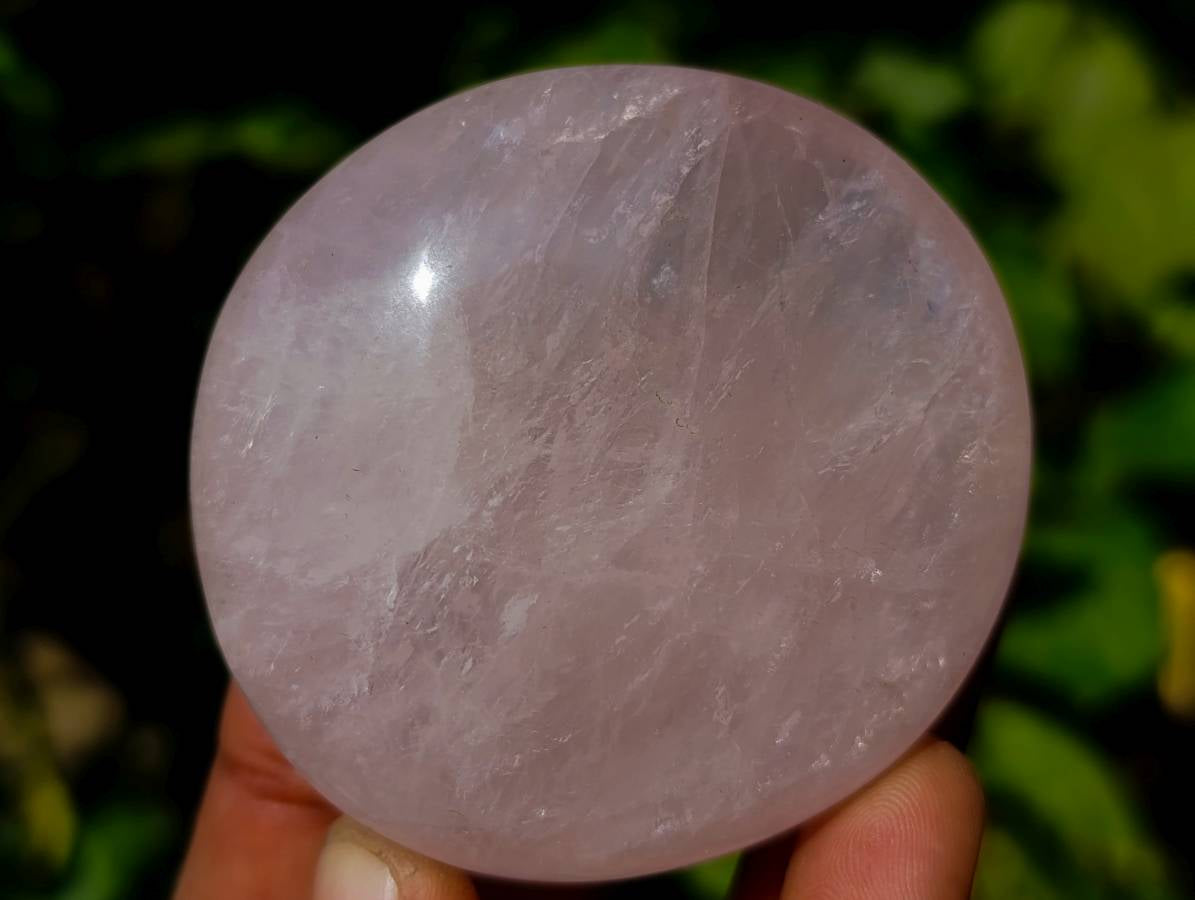 Polished Assortment Of Palm Stones x 12 From Madagascar - Toprock Gemstones and Minerals 