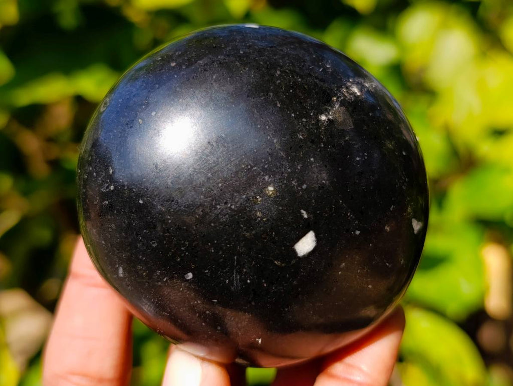 Polished Assortment Of Palm Stones x 12 From Madagascar - Toprock Gemstones and Minerals 