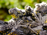 Natural Schorl Black Tourmaline Specimens x 3 From Erongo, Namibia - Toprock Gemstones and Minerals 