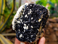 Natural Schorl Black Tourmaline Specimens x 3 From Erongo, Namibia - Toprock Gemstones and Minerals 