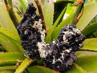 Natural Schorl Black Tourmaline Specimens x 3 From Erongo, Namibia - Toprock Gemstones and Minerals 