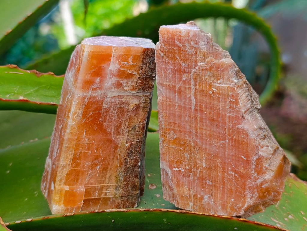 Natural Sunset Orange Calcite Specimens x 14 From Spitzkop, Namibia - Toprock Gemstones and Minerals 