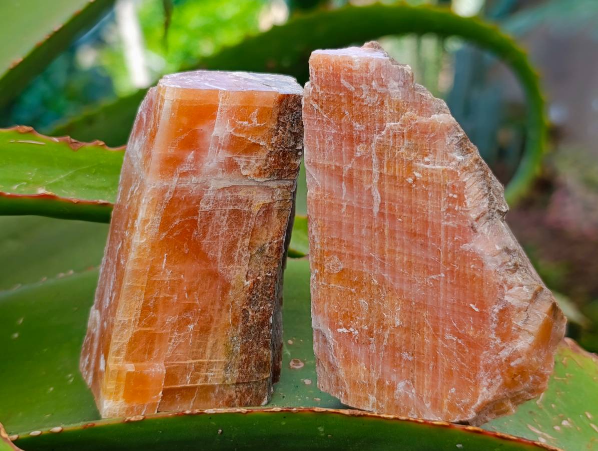 Natural Sunset Orange Calcite Specimens x 14 From Spitzkop, Namibia - Toprock Gemstones and Minerals 