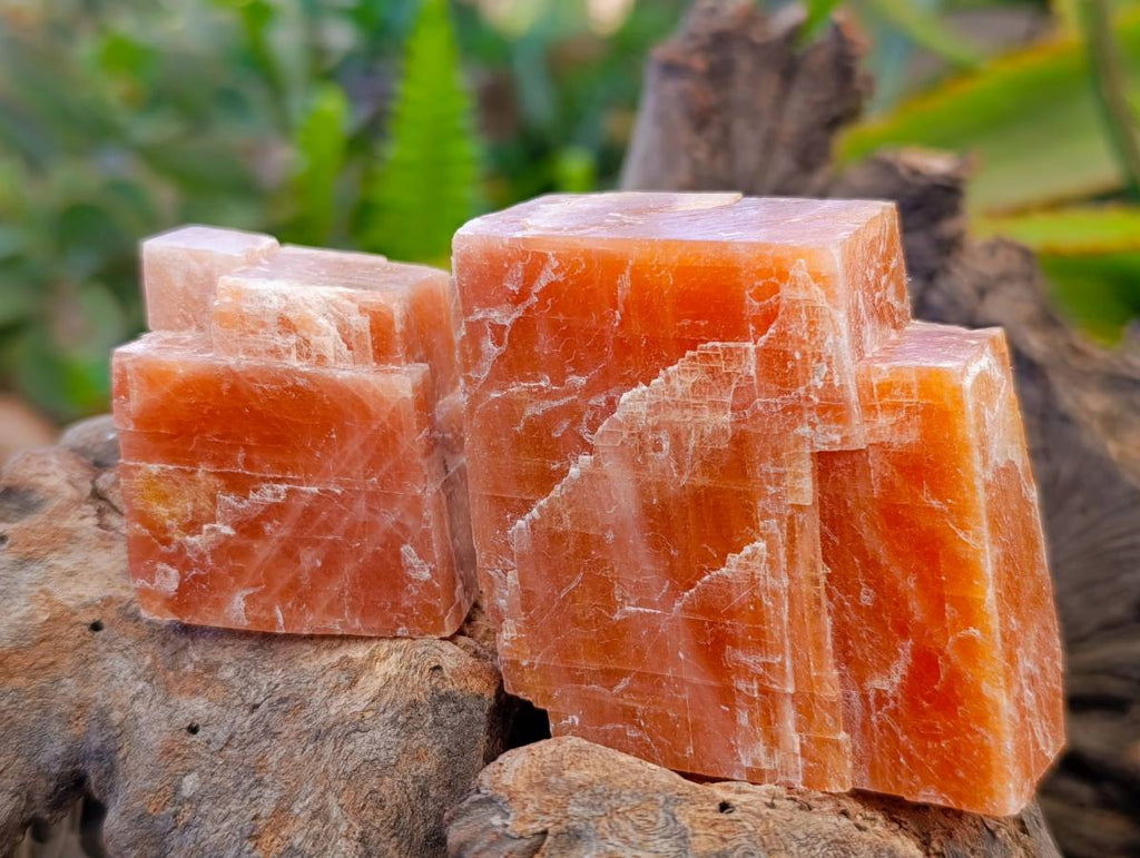Natural Sunset Orange Calcite Specimens x 14 From Spitzkop, Namibia - Toprock Gemstones and Minerals 