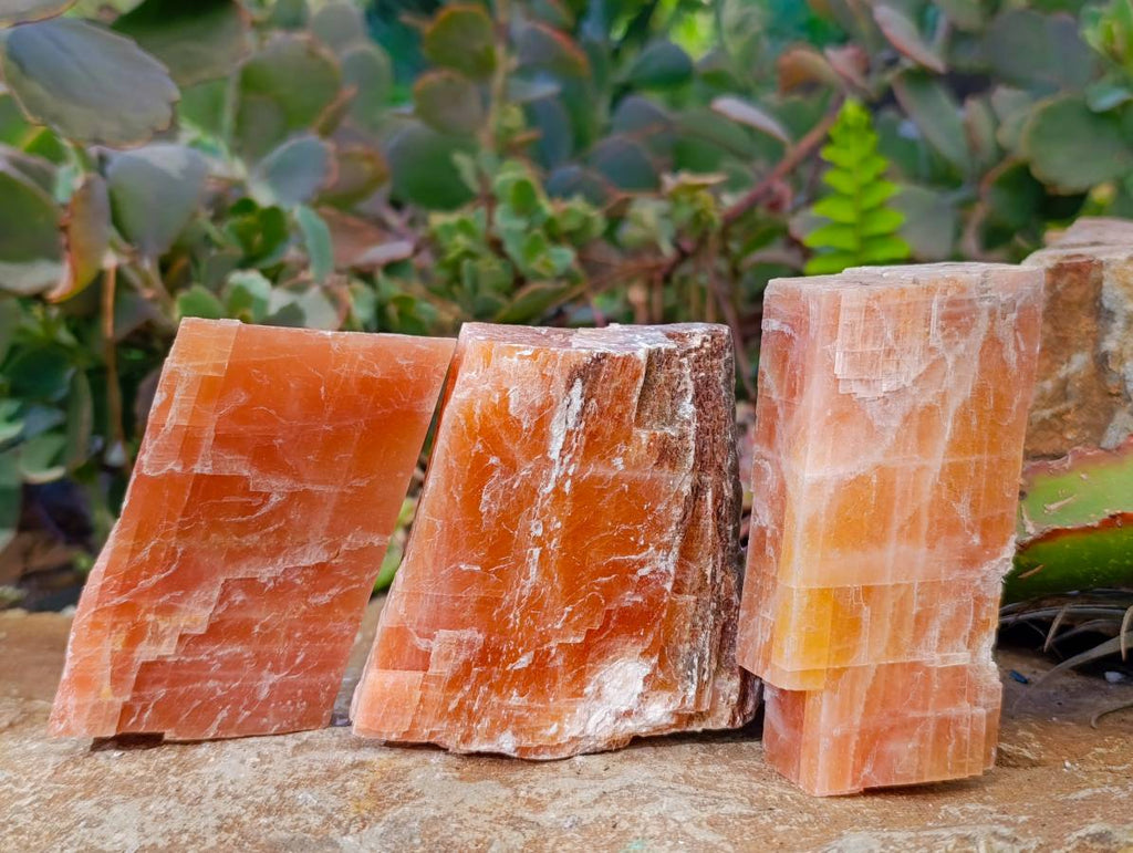 Natural Sunset Orange Calcite Specimens x 14 From Spitzkop, Namibia - Toprock Gemstones and Minerals 