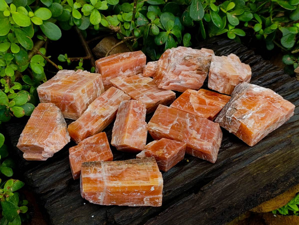Natural Sunset Orange Calcite Specimens x 14 From Spitzkop, Namibia - Toprock Gemstones and Minerals 