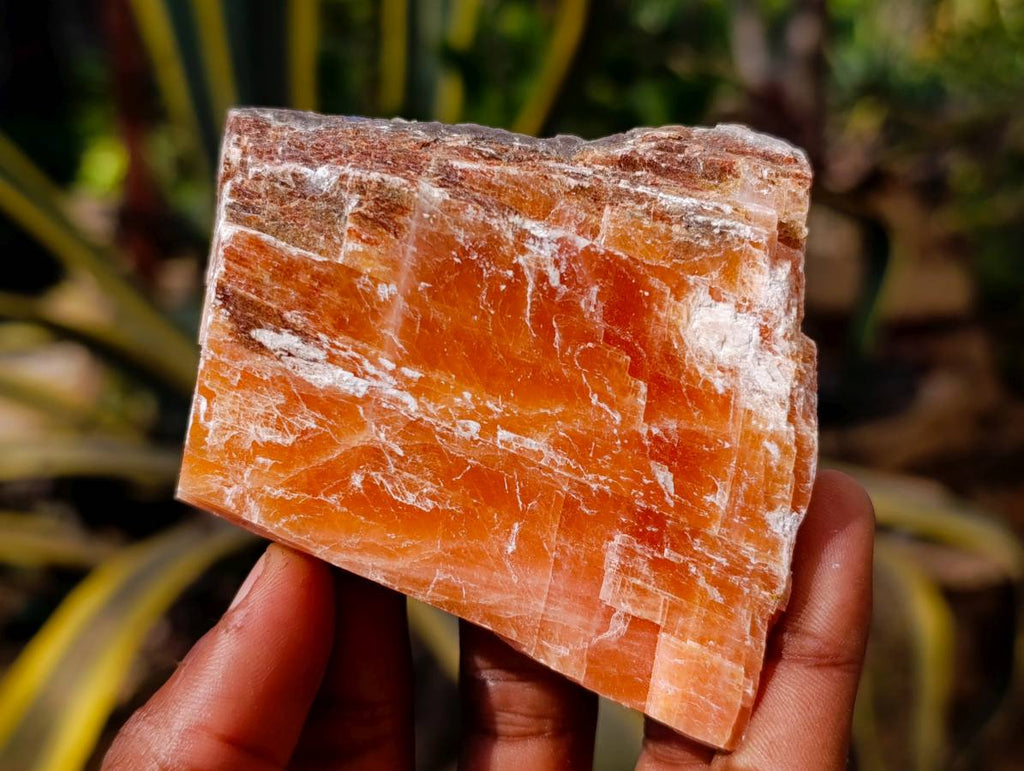 Natural Sunset Orange Calcite Specimens x 14 From Spitzkop, Namibia - Toprock Gemstones and Minerals 
