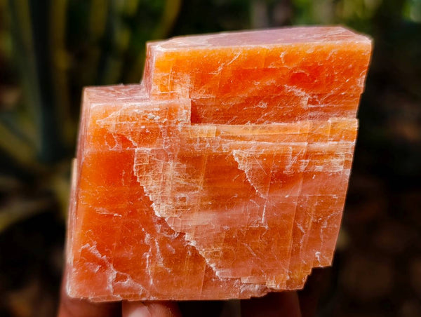 Natural Sunset Orange Calcite Specimens x 14 From Spitzkop, Namibia