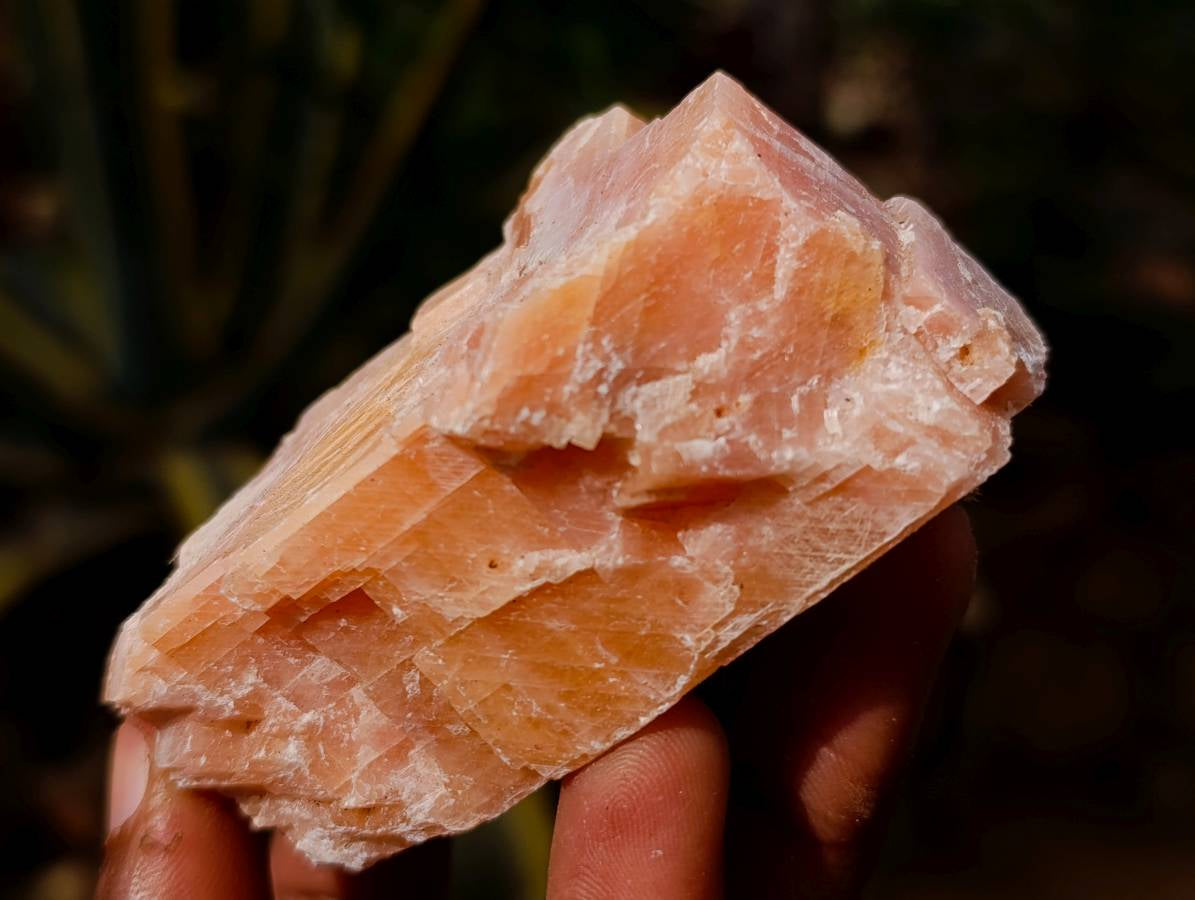 Natural Sunset Orange Calcite Specimens x 14 From Spitzkop, Namibia - Toprock Gemstones and Minerals 