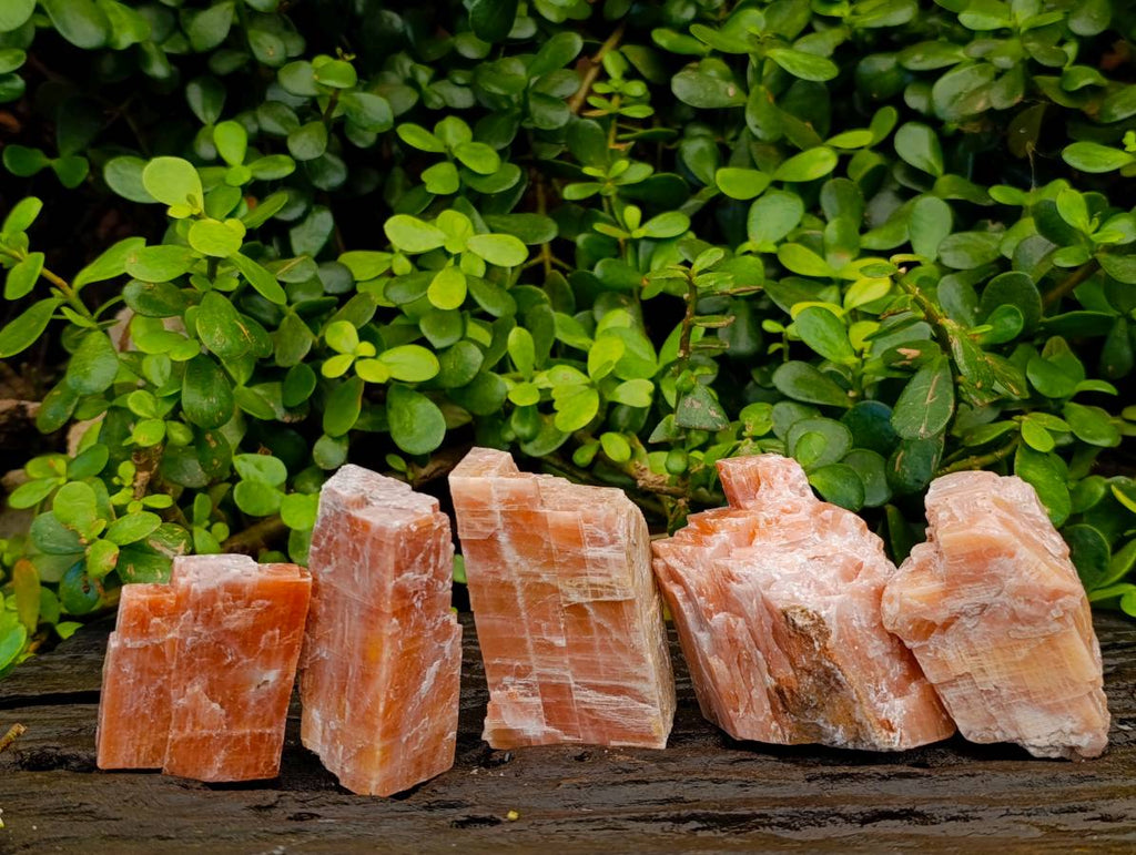 Natural Sunset Orange Calcite Specimens x 14 From Spitzkop, Namibia - Toprock Gemstones and Minerals 