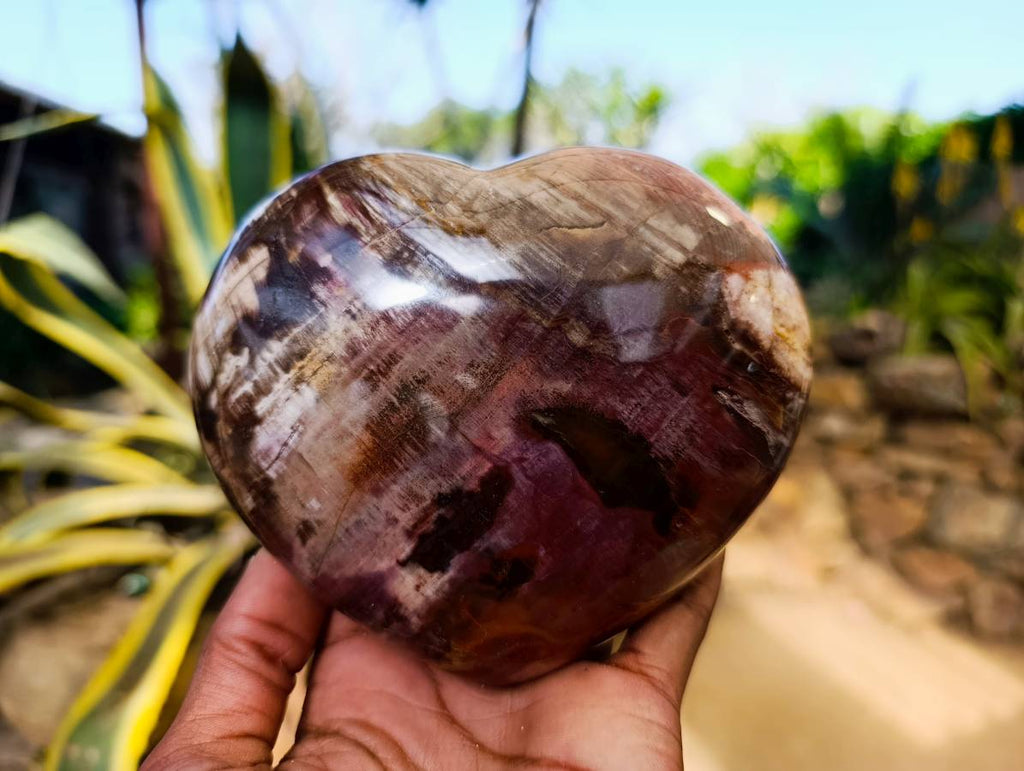 Polished Fossilized Podocarpus Petrified Wood Hearts x 2 From Mahajanga, Madagascar - Toprock Gemstones and Minerals 