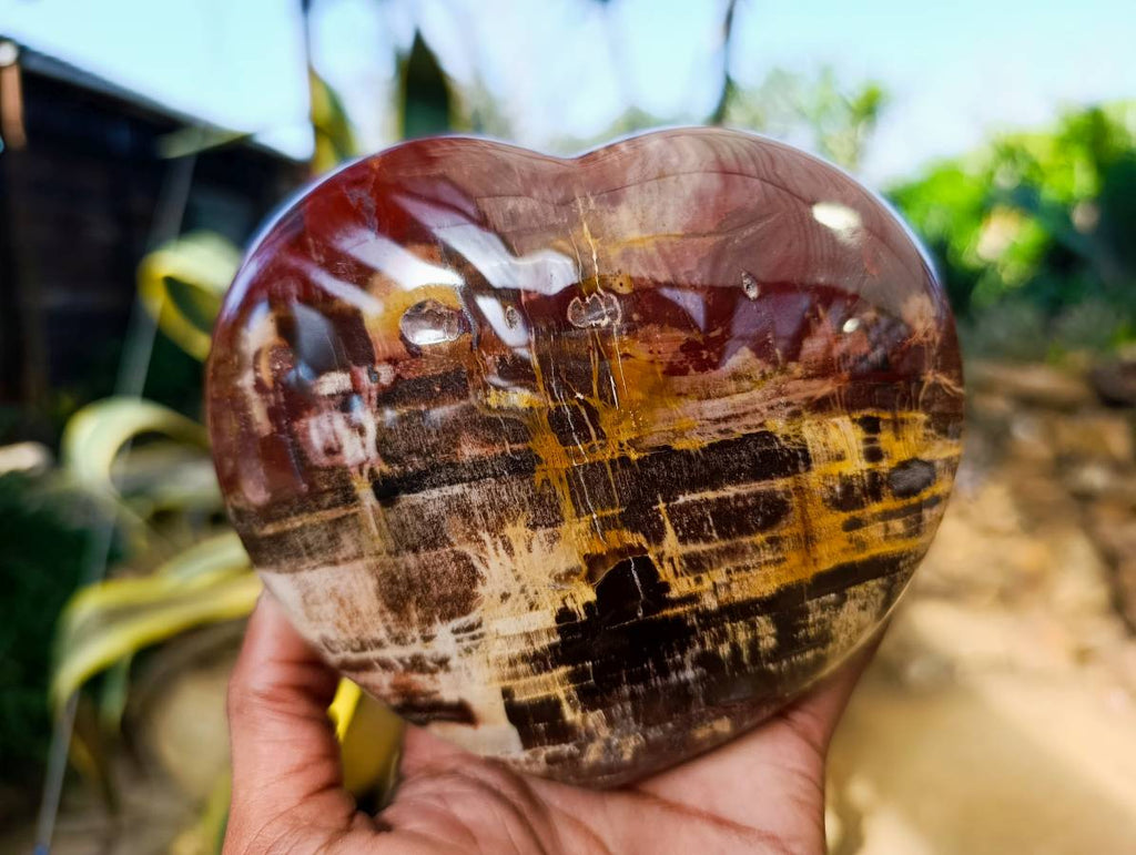 Polished Fossilized Podocarpus Petrified Wood Hearts x 2 From Mahajanga, Madagascar - Toprock Gemstones and Minerals 