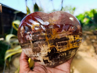 Polished Fossilized Podocarpus Petrified Wood Hearts x 2 From Mahajanga, Madagascar
