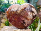 Polished Fossilized Podocarpus Petrified Wood Hearts x 2 From Mahajanga, Madagascar - Toprock Gemstones and Minerals 