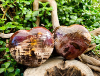 Polished Fossilized Podocarpus Petrified Wood Hearts x 2 From Mahajanga, Madagascar