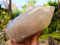 Natural Smokey Quartz Crystal Specimen x 1 From Erongo, Namibia