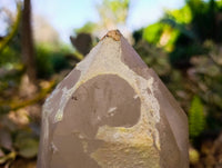 Natural Smokey Quartz Crystal Specimen x 1 From Erongo, Namibia