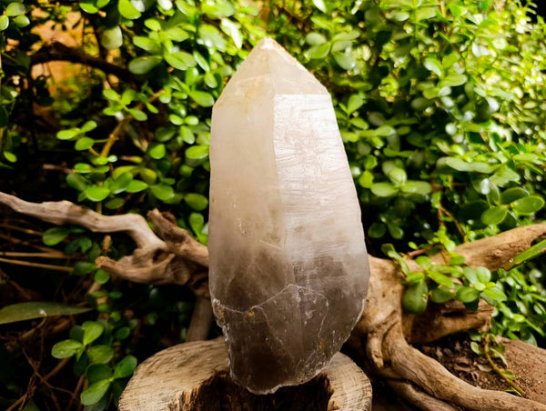 Natural Smokey Quartz Crystal Specimen x 1 From Erongo, Namibia
