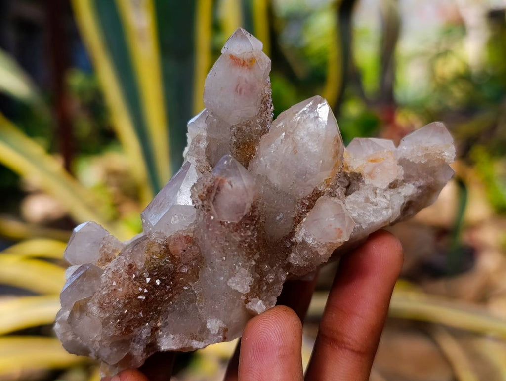 Natural Golden Limonite Coated Spirit Quartz Clusters x 4 From Boekenhouthoek, South Africa - Toprock Gemstones and Minerals 