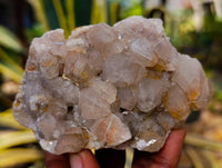 Natural Golden Limonite Coated Spirit Quartz Clusters x 4 From Boekenhouthoek, South Africa - Toprock Gemstones and Minerals 