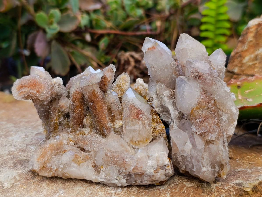 Natural Golden Limonite Coated Spirit Quartz Clusters x 4 From Boekenhouthoek, South Africa - Toprock Gemstones and Minerals 