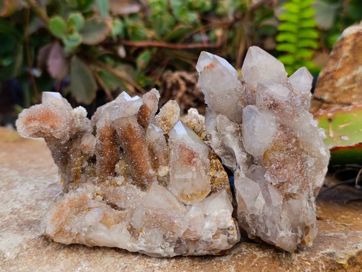 Natural Golden Limonite Coated Spirit Quartz Clusters x 4 From Boekenhouthoek, South Africa - Toprock Gemstones and Minerals 