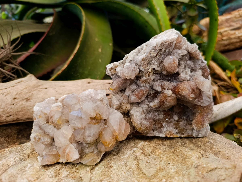 Natural Golden Limonite Coated Spirit Quartz Clusters x 4 From Boekenhouthoek, South Africa - Toprock Gemstones and Minerals 